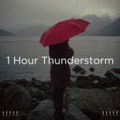 ! ! ! ! ! 1 Hour Thunderstorm ! ! ! ! !