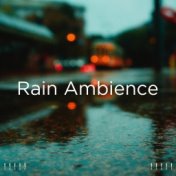 ! ! ! ! ! Rain Ambience ! ! ! ! !