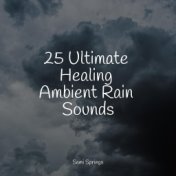 25 Ultimate Healing Ambient Rain Sounds