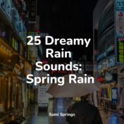 25 Dreamy Rain Sounds: Spring Rain