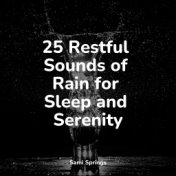 25 Restful Sounds of Rain for Sleep and Serenity