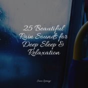 25 Beautiful Rain Sounds for Deep Sleep & Relaxation