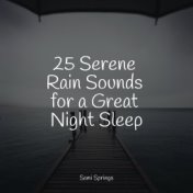 25 Serene Rain Sounds for a Great Night Sleep