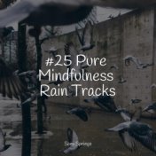 #25 Pure Mindfulness Rain Tracks