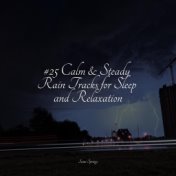 #25 Calm & Steady Rain Tracks for Sleep and Relaxation
