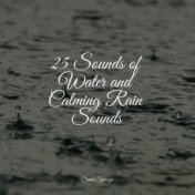 25 Sounds of Water and Calming Rain Sounds