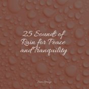 25 Sounds of Rain for Peace and Tranquility