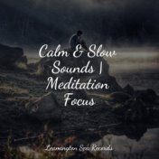 Calm & Slow Sounds | Meditation Focus