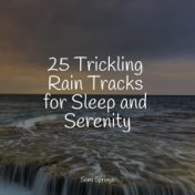 25 Trickling Rain Tracks for Sleep and Serenity