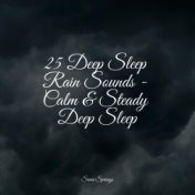 25 Deep Sleep Rain Sounds - Calm & Steady Deep Sleep