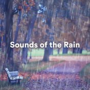 Sounds of the Rain