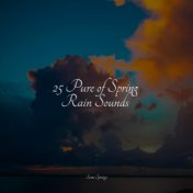 25 Pure of Spring Rain Sounds