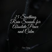 25 Soothing Rain Sounds for Absolute Peace and Calm