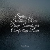 Spring 25 Soothing Rain Drop Sounds for Comforting Rain