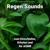 Regen Sounds zum Einschlafen, Erholen und für ASMR