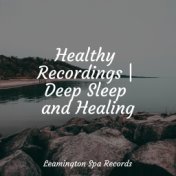 Healthy Recordings | Deep Sleep and Healing