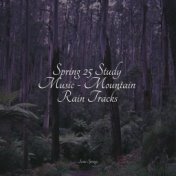 Spring 25 Study Music - Mountain Rain Tracks