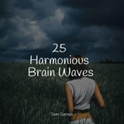 25 Harmonious Brain Waves