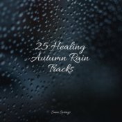 25 Healing Autumn Rain Tracks