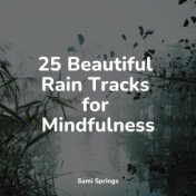 25 Beautiful Rain Tracks for Mindfulness