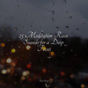 25 Meditation Rain Sounds for a Deep Focus