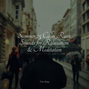 Summer 25 Calm Rain Sounds for Relaxation & Meditation