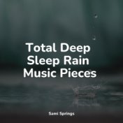 Total Deep Sleep Rain Music Pieces