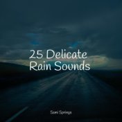 25 Delicate Rain Sounds