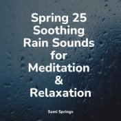 Spring 25 Soothing Rain Sounds for Meditation & Relaxation