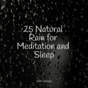 25 Natural Rain for Meditation and Sleep