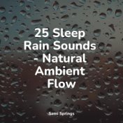 25 Sleep Rain Sounds - Natural Ambient Flow