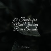 25 Tracks for Mind Clearing Rain Sounds