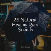 25 Natural Healing Rain Sounds