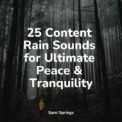 25 Content Rain Sounds for Ultimate Peace & Tranquility