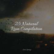 25 Natural Rain Compilation