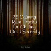 25 Calming Rain Tracks for Chilling Out & Serenity