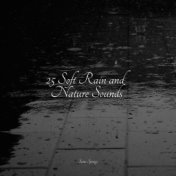 25 Soft Rain and Nature Sounds