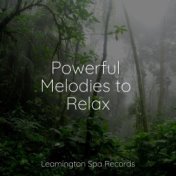 Powerful Melodies to Relax