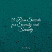 25 Rain Sounds for Serenity and Serenity