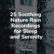 25 Soothing Nature Rain Recordings for Sleep and Serenity