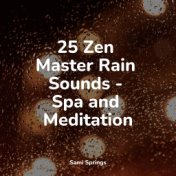 25 Zen Master Rain Sounds - Spa and Meditation