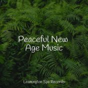 Peaceful New Age Music