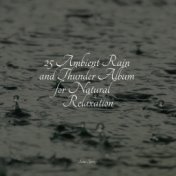 25 Ambient Rain and Thunder Album for Natural Relaxation