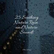 25 Soothing Nature Rain and Nature Sounds