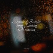 25 Sounds of Rain for Stress Relieving Meditation