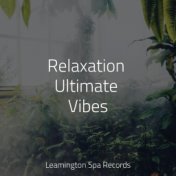 Relaxation Ultimate Vibes