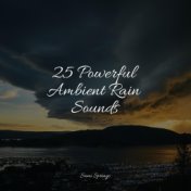 25 Powerful Ambient Rain Sounds