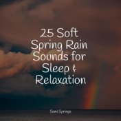 25 Soft Spring Rain Sounds for Sleep & Relaxation