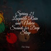 Spring 25 Loopable Rain and Nature Sounds for Deep Sleep