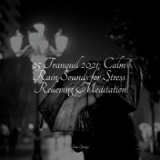 25 Tranquil 2021: Calm Rain Sounds for Stress Relieving Meditation